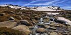 Rams Head Range - Kosciuszko NP - NSW SQ (PBH4 00 10664)
